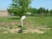 049 - Protecting newly planted trees